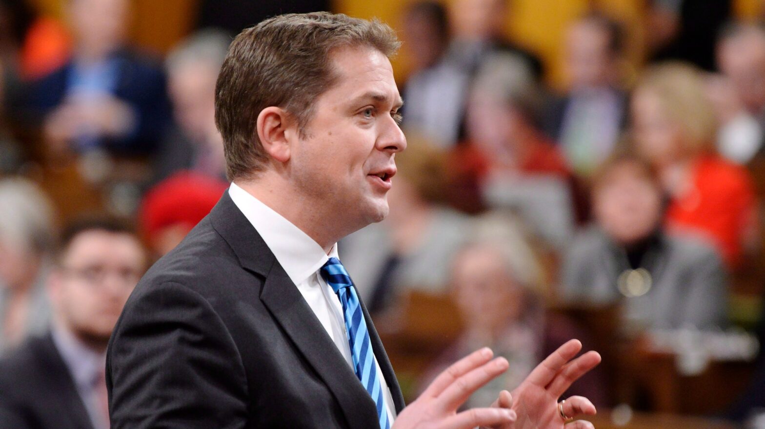 Andrew Scheer
