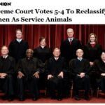 Supreme Court Votes 5-4 To Reclassify Women As Service Animals