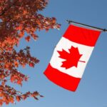 Canadian flag and trees